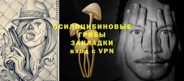 молекула духа Кодинск