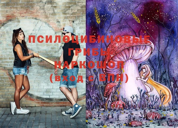 mdma Козловка