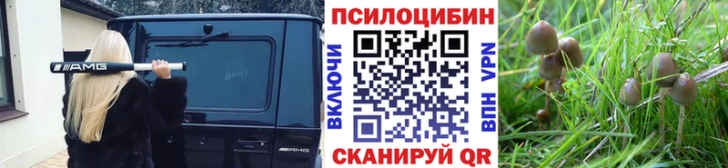 Купить  Ирбит  Галлюциногенные грибы ЛСД 